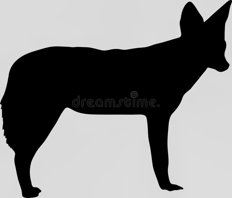 Jackal Stock Illustrations – 839 Jackal Stock Illustrations, Vectors