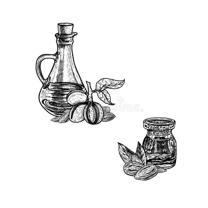 Download Almond Extract Stock Illustrations 87 Almond Extract Stock Illustrations Vectors Clipart Dreamstime PSD Mockup Templates