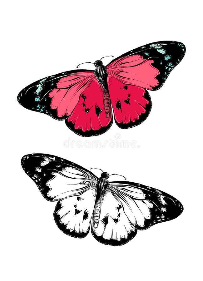 50 Butterfly Coloring Pages: 2024 Free Printable Sheets