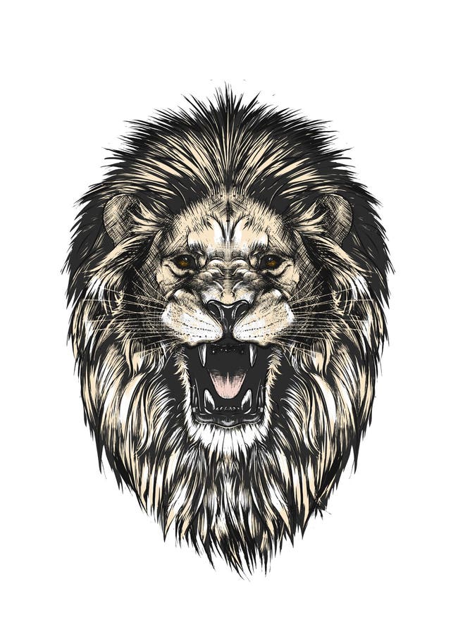 Lion Sketch Images - Free Download on Freepik-gemektower.com.vn