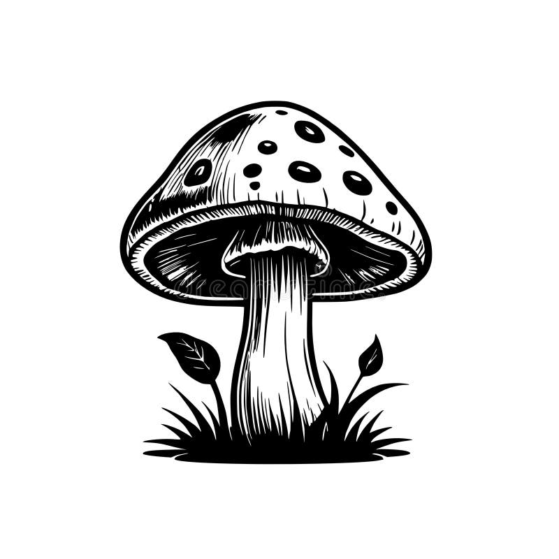 Hand drawn sketch of mushrooms royalty free illustration