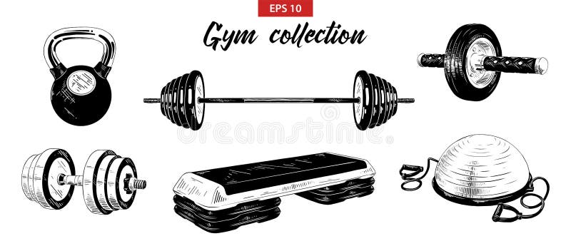 Exercise equipment Fitness Centre Physical exercise Physical fitness Icon, Women  fitness equipment and fitness equipment icon cartoon transparent background  PNG clipart