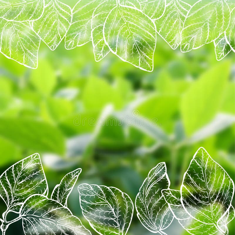 Hand drawn soy on blurred background