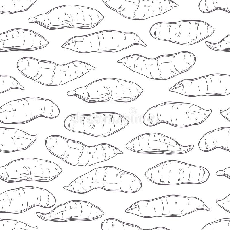 Hand Drawn Sweet Potato. Vector Seamless Pattern Stock Vector