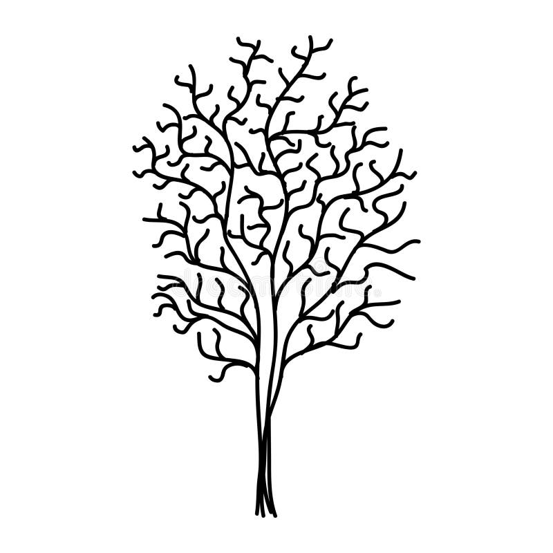 Hand Drawn Tree Outline, Tree Line Art Black and White Sketch Drawing ...