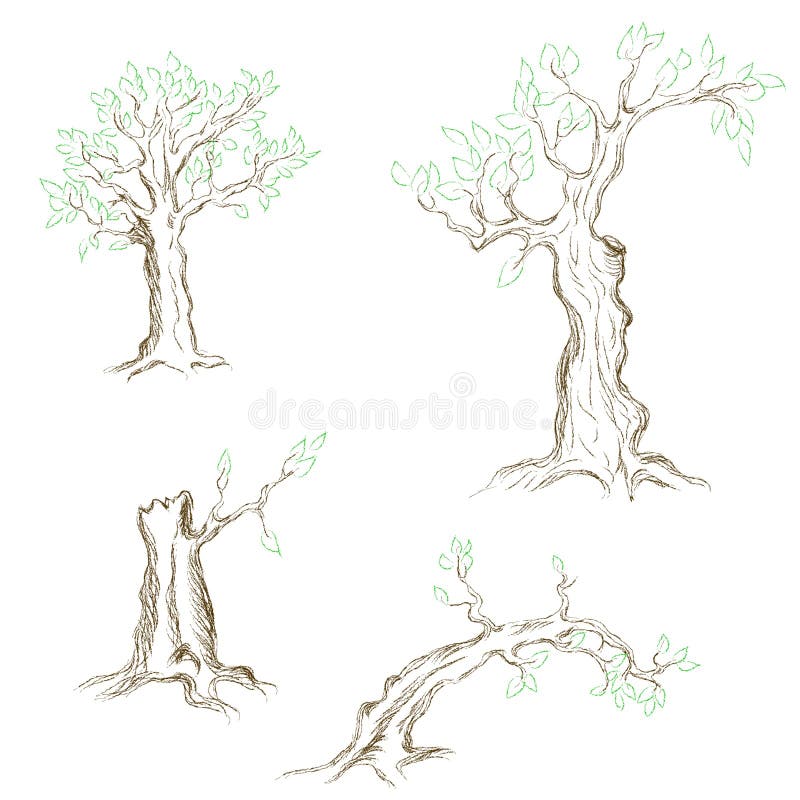 Hand drawn trees royalty free illustration