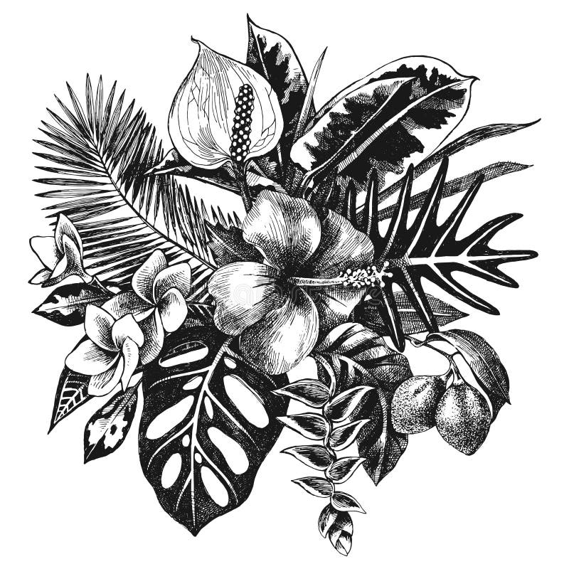 Hand drawn black and white tropical plants royalty free illustration.