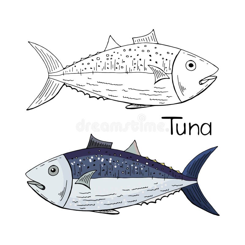 Hand Drawn Tuna Fish Black and White and Color Isolated on White