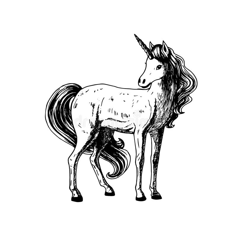 Hand Drawn Unicorn. Vector Black White Sketch. Stock Vector