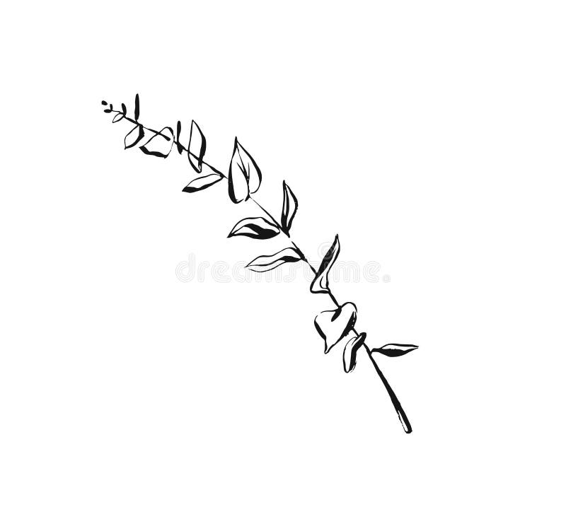 Hand drawn vector abstract artistic ink textured graphic sketch drawing illustration of eucalyptus branch plant isolated vector illustration Hand drawn vector abstract artistic ink textured graphic sketch drawing illustration of eucalyptus branch plant isolated vector illustration