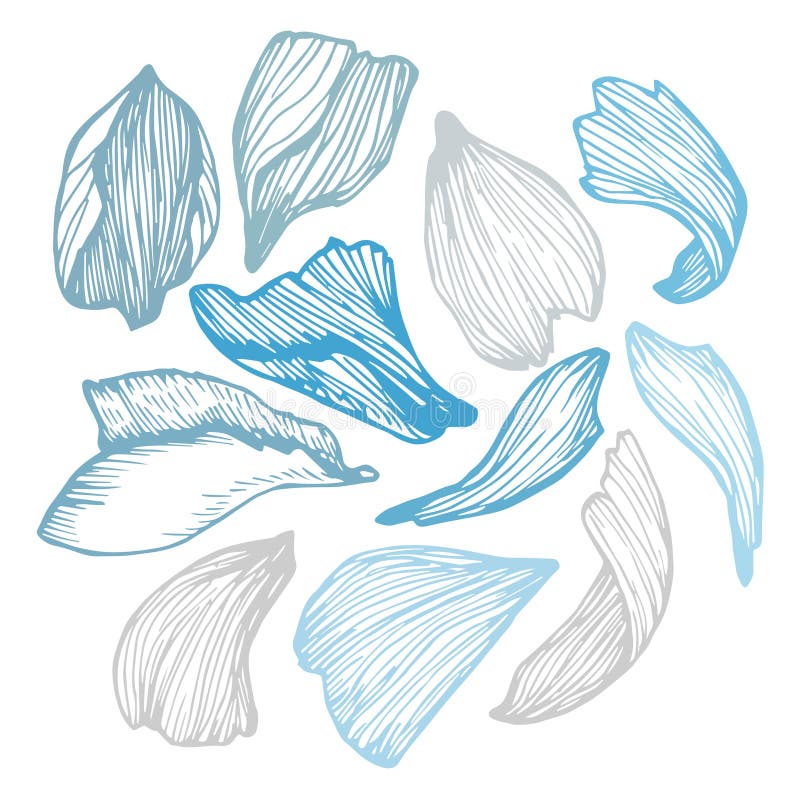 Hand Drawn Vector Illustration Collection of Rose Petals. Stock
