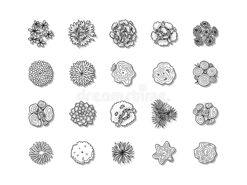 Hand Drawn Vector Illustration Set of Top View Tree Isolated on White ...