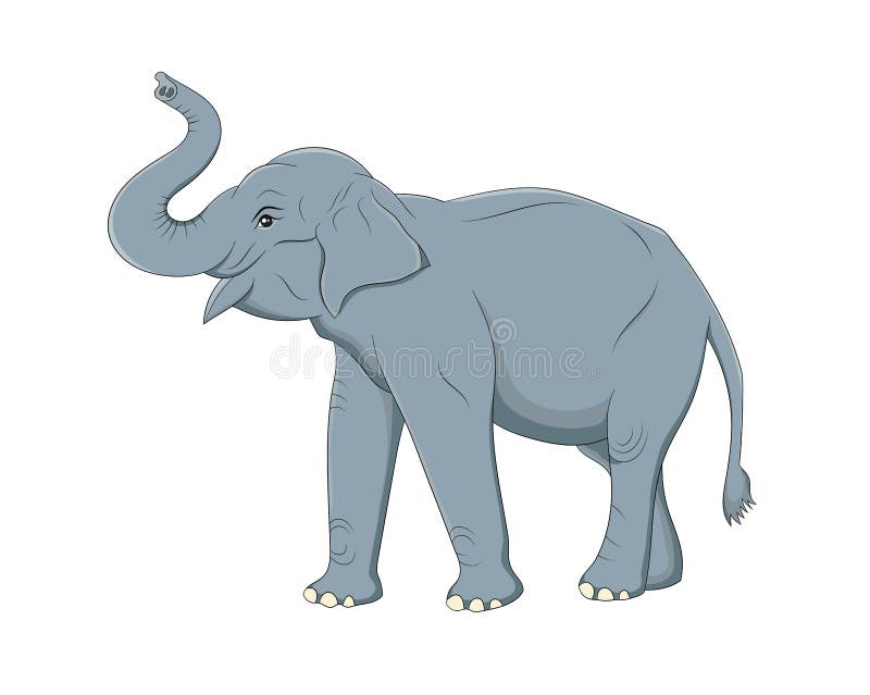 Vector Illustration of Asian Elephant on White Background Stock Vector -  Illustration of design, tusk: 185435452