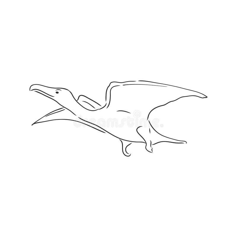 Pterodactyl Dinosaur Drawing  Etsy Israel