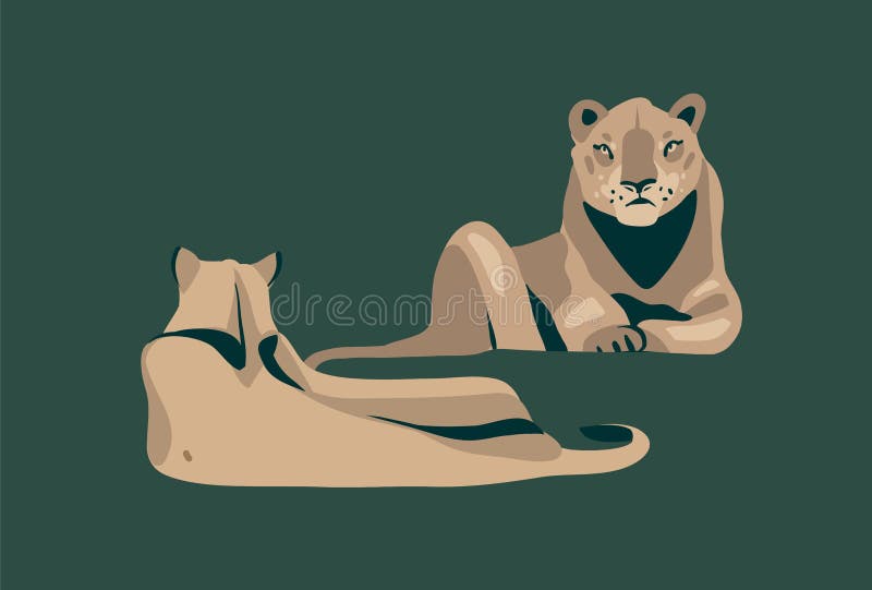 Hand drawn vector stock abstract graphic illustration with African wild lying lionesses cartoon animal design isolated