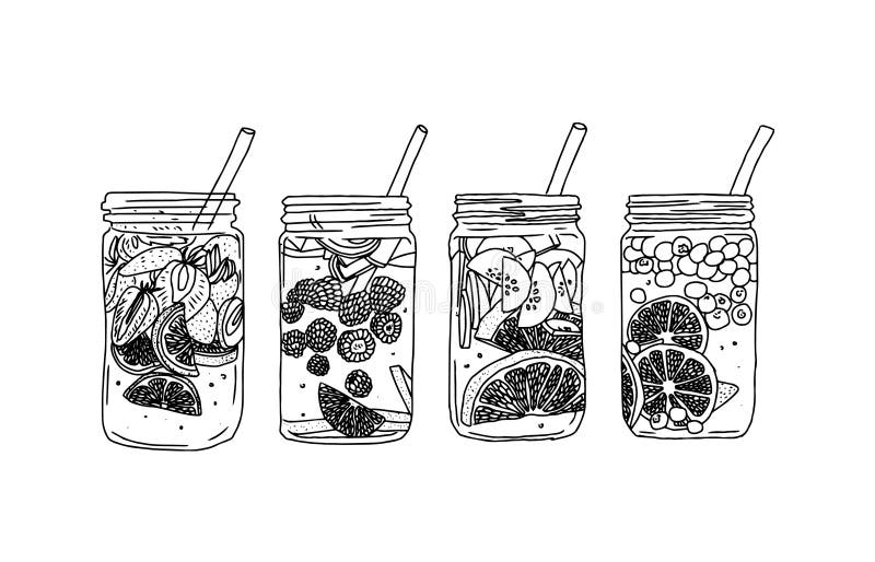 Hand drawn vector summer ice drink with citrus and berries. Lemon and mint. Detox water sketch. Linear illustration.