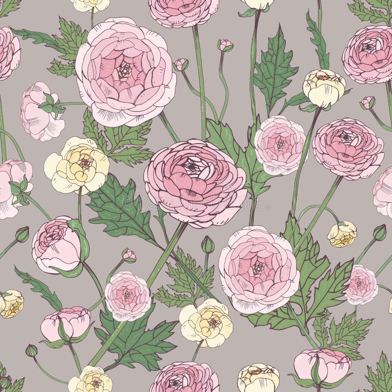 Hand drawn vintage floral colorful seamless pattern with ranunculus flower. royalty free illustration