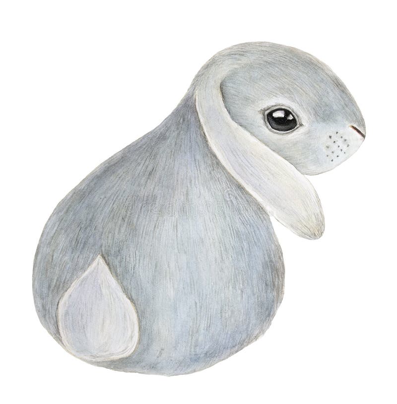 Bunny character portrait.