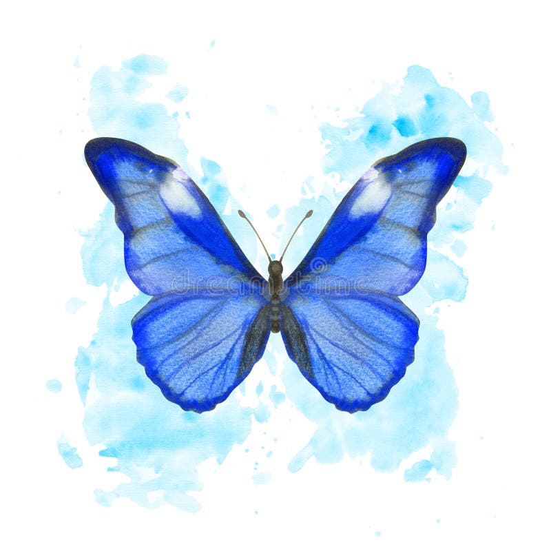 Papillon Morpho bleu - impression aquarelle, jet d’encre aquarelle,  papillon aquarelle, papillon Art, papillon bleu, peinture Blue Butterly