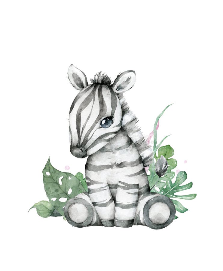 Hand Drawn Watercolor Cute Baby Zebra Sitting, Cartoon Isolated Illustration on White Background Stock Illustration - Illustration of mammal, cute: 179057269 Hand Drawn Watercolor Cute Baby Zebra Sitting, Cartoon Isolated Illustration on White Background Stock Illustration - Illustration of mammal, cute: 179057269