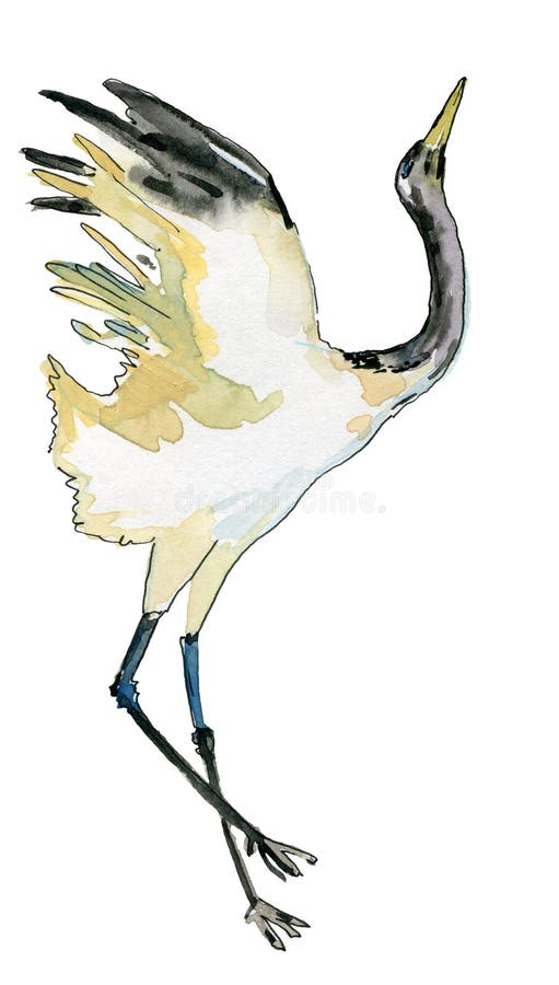 Crane Bird In Water Paint By Numbers 