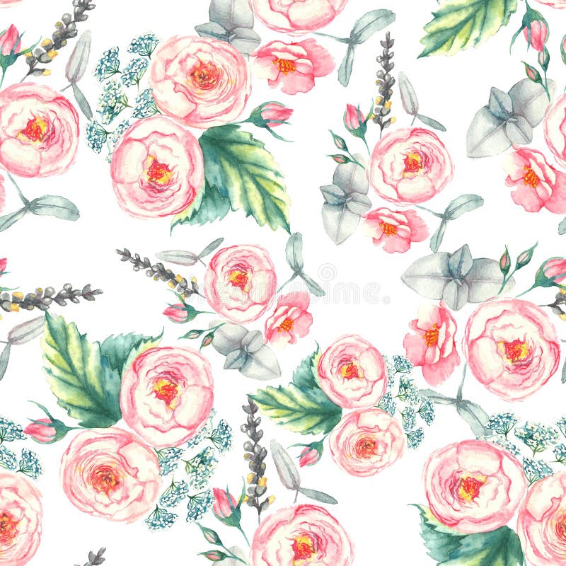 Watercolor Light Pink Roses Bouquet Stock Illustrations – 843 ...