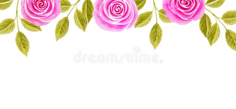 Hand drawn watercolor painting with pink roses flowers border  isolated on white background. Floral ornament