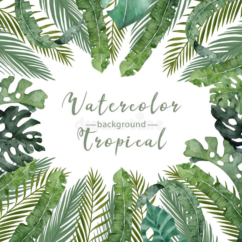 Hand drawn watercolor tropical set. Exotic leaves illustrations, jungle tree, brazil trendy. Perfect for fabric design. Aloha collection. Hand drawn watercolor tropical set. Exotic leaves illustrations, jungle tree, brazil trendy. Perfect for fabric design. Aloha collection