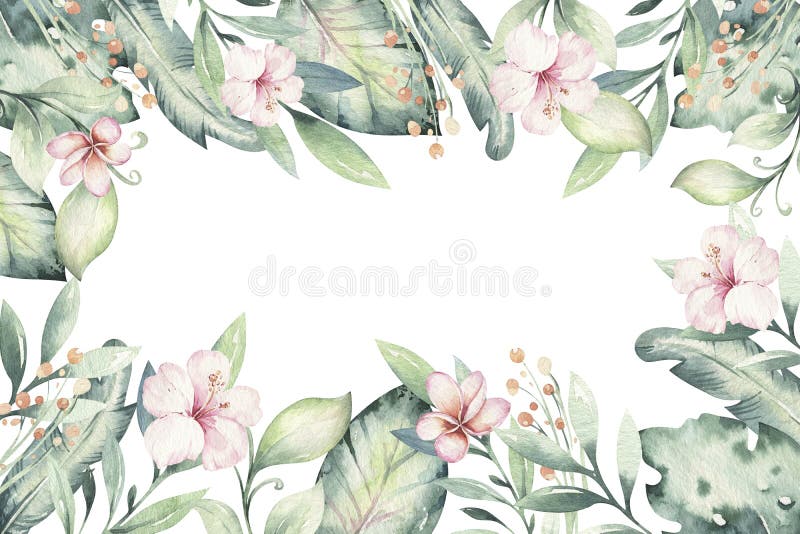 Hand drawn watercolor tropical flower background. Exotic palm leaves, jungle tree, brazil tropic botany elements and flowers. Perfect for fabric design. Aloha collection. Hand drawn watercolor tropical flower background. Exotic palm leaves, jungle tree, brazil tropic botany elements and flowers. Perfect for fabric design. Aloha collection.