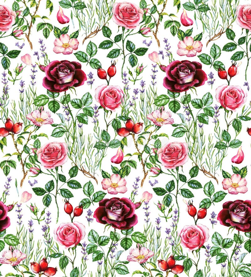 Hand-drawn waterverf naadloos botanisch patroon met verschillende installaties vector illustratie Hand-drawn waterverf naadloos botanisch patroon met verschillende installaties vector illustratie