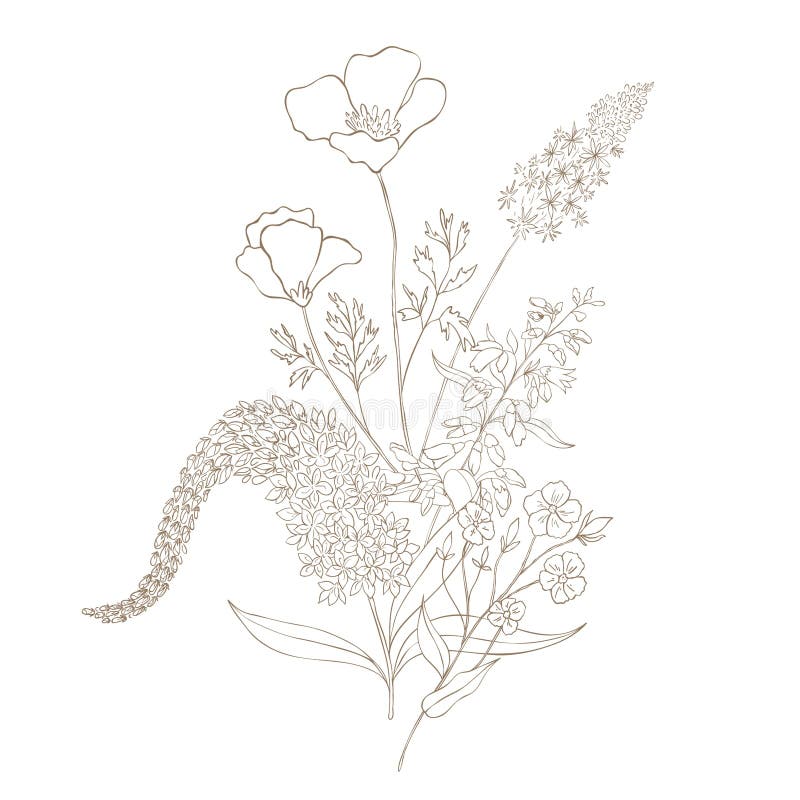 Hand Drawn Wildflower Bouquet. Stock Illustration Illustration of wedding, flower 265785750