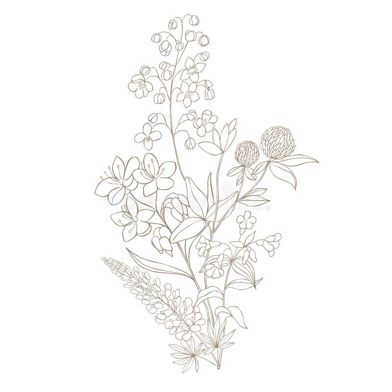 Hand Drawn Wildflower Bouquet. Stock Illustration Illustration of season, tattoo 265785773