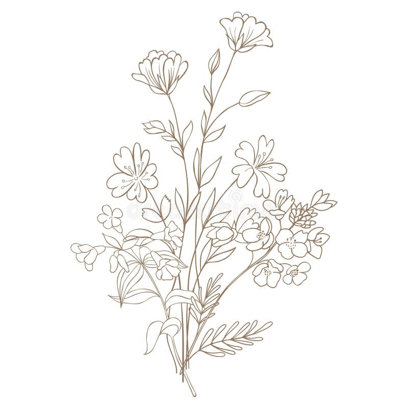 Hand Drawn Wildflower Bouquet. Stock Illustration Illustration of wild, forest 265785779