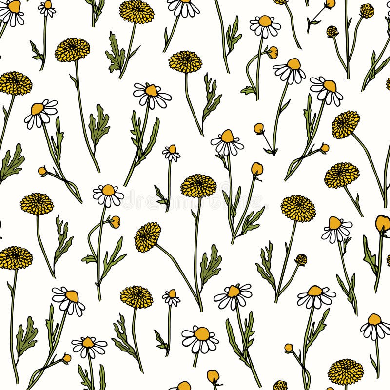Download Hand Drawn Wildflower Pattern Stock Vector - Illustration ...