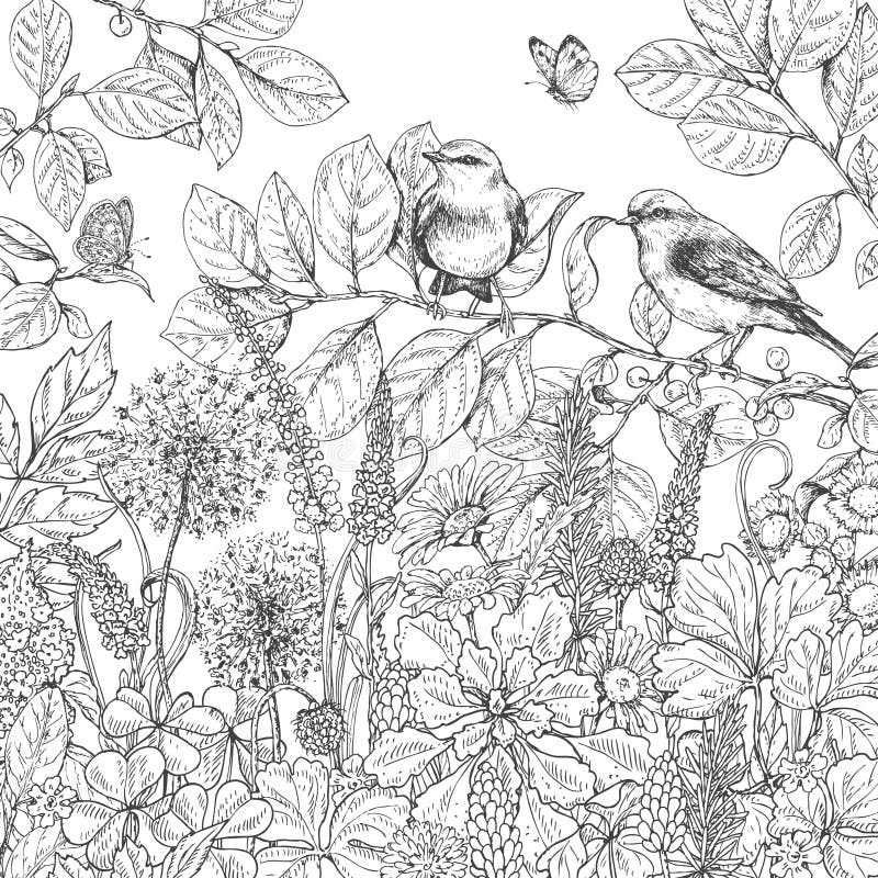 hand drawn wildflowers butterflies and birds stock