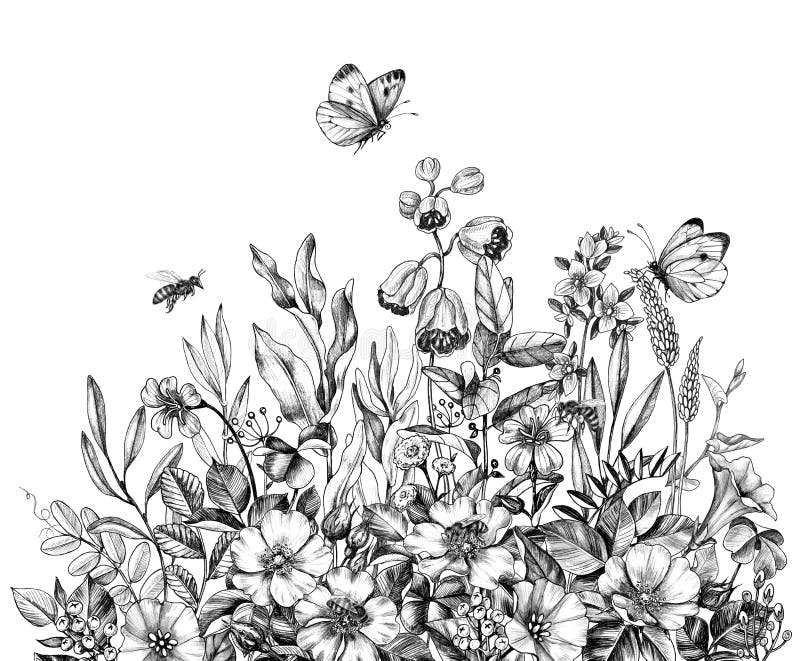 Hand Drawn Wild Flowers, Bees  and Butterfly