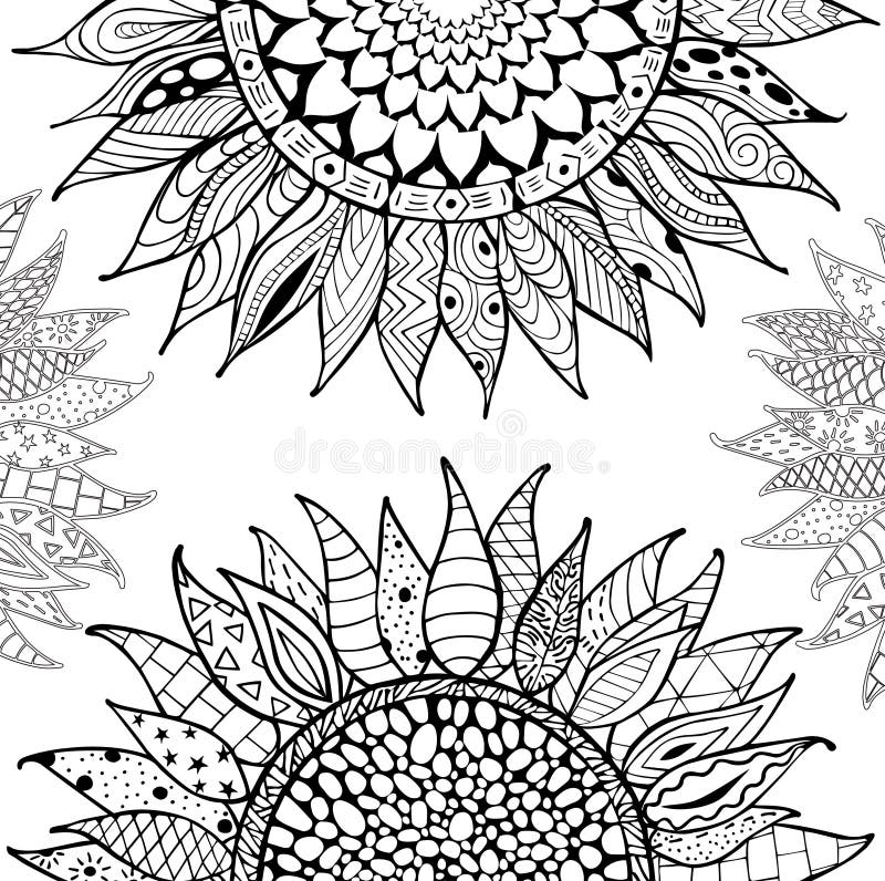 Hand drawn zentangle sunflowers ornament for coloring book. 