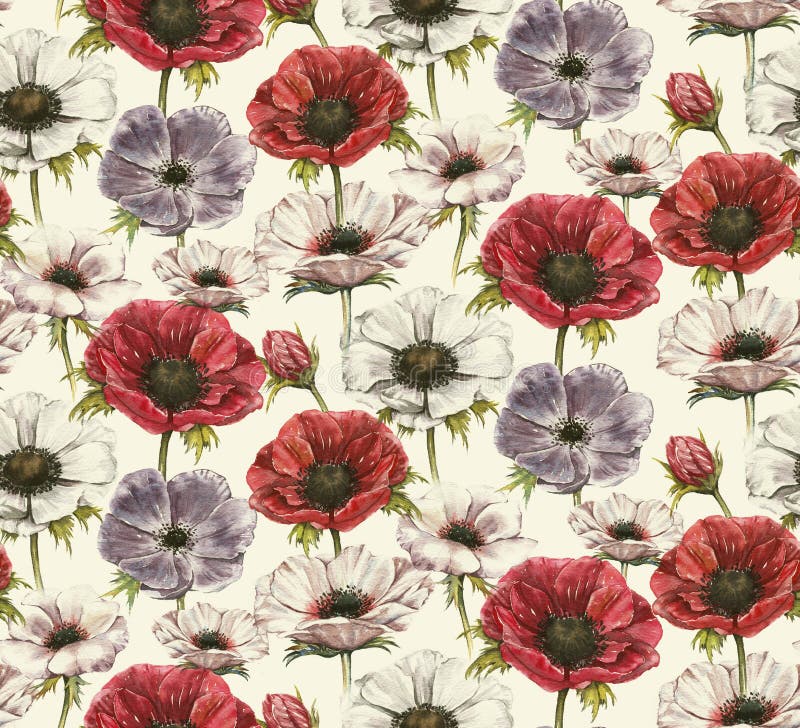 Hand-drawn άνευ ραφής floral σχέδιο watercolor με τα όμορφα anemones ελεύθερη απεικόνιση δικαιώματος Hand-drawn άνευ ραφής floral σχέδιο watercolor με τα όμορφα anemones ελεύθερη απεικόνιση δικαιώματος