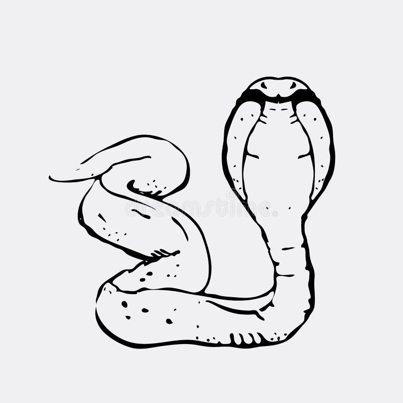 Hand-drawn γραφική παράσταση μολυβιών, φίδι, cobra Χάραξη, ύφος διάτρητων Γραπτό λογότυπο, σημάδι, έμβλημα, σύμβολο γραμματόσημο διανυσματική απεικόνιση Hand-drawn γραφική παράσταση μολυβιών, φίδι, cobra Χάραξη, ύφος διάτρητων Γραπτό λογότυπο, σημάδι, έμβλημα, σύμβολο γραμματόσημο διανυσματική απεικόνιση
