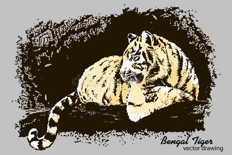 Hand-drawn διανυσματικό σχέδιο τιγρών της Βεγγάλης διανυσματική απεικόνιση