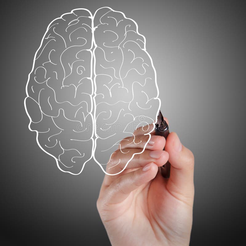 Hand draws brain sign stock photo Hand draws brain sign stock photo