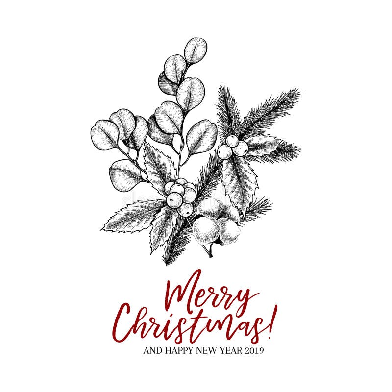 Hand drog julväxter Vektorn sörjer filialen, gran, eukalyptuns, järnek och bomull Xmas-grönskabukett nytt år royaltyfri illustrationer Hand drog julväxter Vektorn sörjer filialen, gran, eukalyptuns, järnek och bomull Xmas-grönskabukett nytt år royaltyfri illustrationer