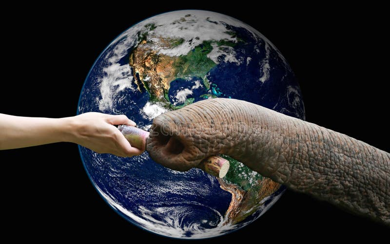 A hand feeding food to elephant with the earth ,including elements