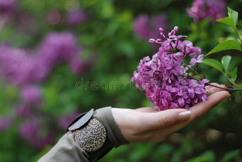 Hand and flower