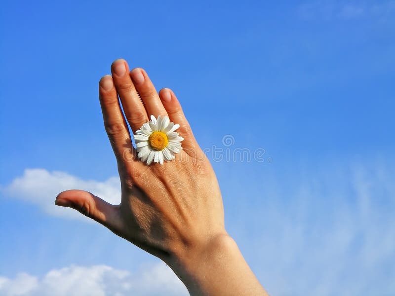Hand&flower