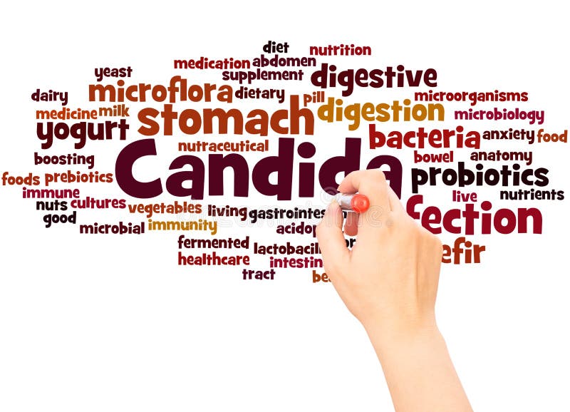 Hand för Candidaordmoln som skriver begrepp royaltyfri bild Hand för Candidaordmoln som skriver begrepp royaltyfri bild