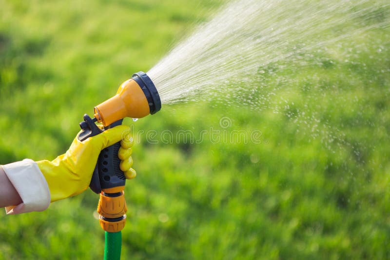 Hand with garden hose watering plants