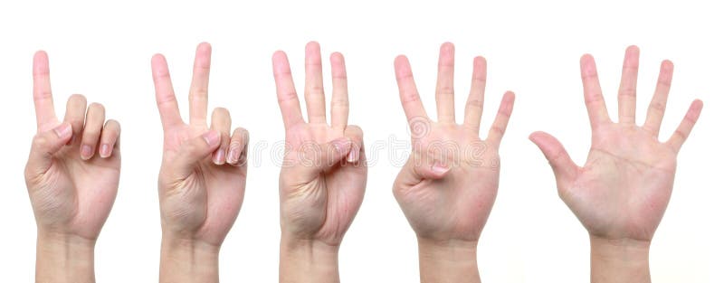 1 2 3 4 5 Hand Stock Photo Image Of Fist Palm Gesture