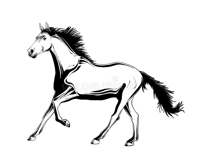 Hand getrokken schets van het lopen paard in zwarte royalty-vrije illustratie Hand getrokken schets van het lopen paard in zwarte royalty-vrije illustratie