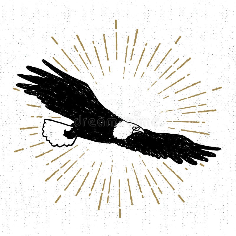 Hand getrokken stammenpictogram met een geweven adelaars vectorillustratie stock illustratie Hand getrokken stammenpictogram met een geweven adelaars vectorillustratie stock illustratie